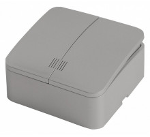 Выключатель двухклавишный с индикатором Stekker София 49298 MSW10-21-03