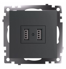 Розетка USB Stekker Катрин GLS10-7115-06 49422