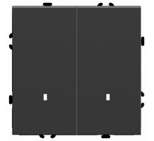 Выключатель двухклавишный c индикатором Stekker RSW10-5102-05 Эмили 49838