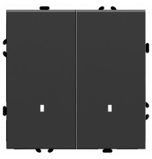 Выключатель двухклавишный c индикатором Stekker RSW10-5102-05 Эмили 49838