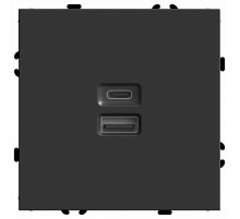 Розетка 2-местная USB + Type C Stekker RST10-5115-05 Эмили 49853