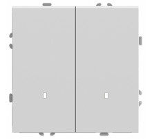 Выключатель двухклавишный c индикатором Stekker RSW10-5102-01 Эмили 49864