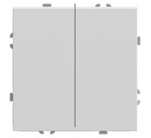 Переключатель двухклавишный Stekker RSW10-5107-01 Эмили 49869