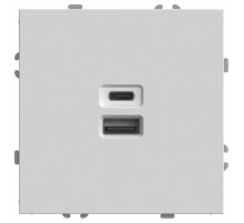 Розетка 2-местная USB + Type C Stekker RST10-5115-01 Эмили 49879