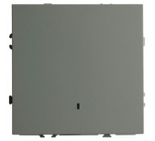 Выключатель 1-клавишный c индикатором Stekker Эмили RSW10-5101-10 49941