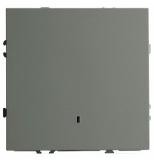 Выключатель 1-клавишный c индикатором Stekker Эмили RSW10-5101-10 49941