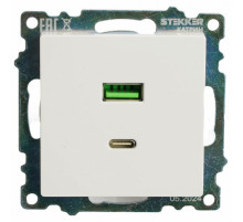 Розетка 2-местная USB + type C Stekker Катрин GLS10-7116-01 50051