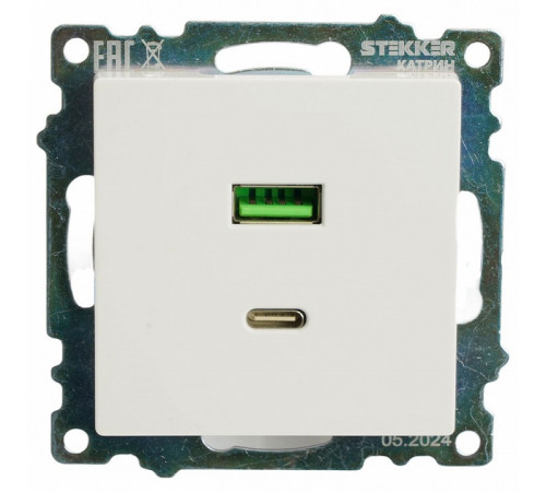 Розетка 2-местная USB + type C Stekker Катрин GLS10-7116-01 50051