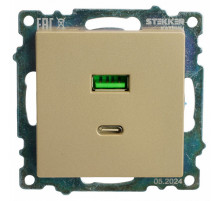 Розетка 2-местная USB + type C Stekker Катрин GLS10-7116-08 50053