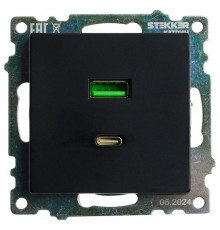 Розетка 2-местная USB + type C Stekker Катрин GLS10-7116-05 50055