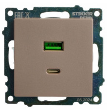 Розетка 2-местная USB + type C Stekker Катрин GLS10-7116-02 50056
