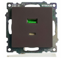 Розетка 2-местная USB + type C Stekker Катрин GLS10-7116-04 50057