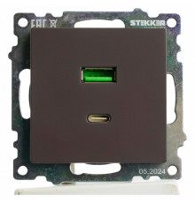 Розетка 2-местная USB + type C Stekker Катрин GLS10-7116-04 50057