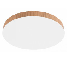 Потолочный светильник Feron AL1600 51111