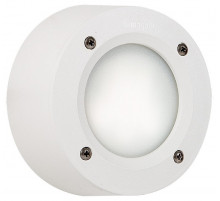 Светильник для подсветки лестниц Fumagalli Leti 2S2.000.000.WYG1L