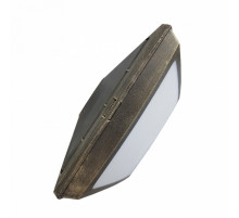 Уличный потолочный светильник Fumagalli Guizeppe 4P2.000.000.BYF1R