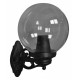 Уличный настенный светильник Fumagalli Globe 250 G25.131.000.AZF1R