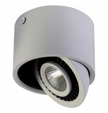 Потолочный светодиодный светильник Favourite Reflector 1775-1C