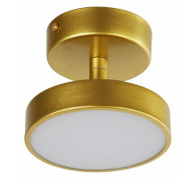 Потолочный светильник F-Promo Atma 3059-1P