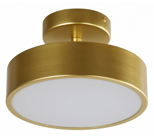 Потолочный светильник F-Promo Atma 3059-2P Потолочный светильник F-Promo Atma 3059-2P