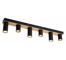 Потолочный светильник F-Promo Olson 4431-6C