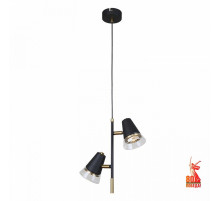 Подвесной светильник F-Promo Trandy 4618-2P