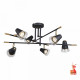 Потолочная люстра F-Promo Trandy 4618-6C