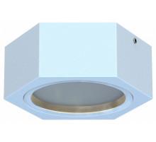 Уличный потолочный светильник Favourite Fantum 4665-1U