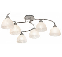 Потолочная люстра Lussole Zungoli GRLSF-1603-06