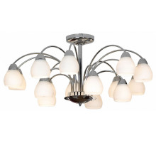 Потолочная люстра Lussole Apiro GRLSF-2403-15