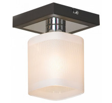 Потолочный светильник Lussole Costanzo GRLSL-9007-01