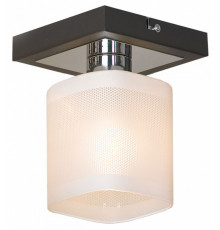 Потолочный светильник Lussole Costanzo GRLSL-9007-01