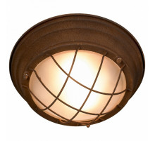 Потолочный светильник Lussole Loft GRLSP-8068
