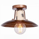 Потолочный светильник Lussole Loft Vermilion GRLSP-8161