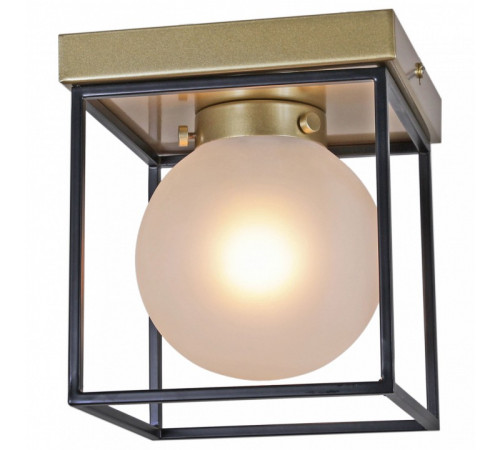 Потолочный светильник Illumico IL0050-1C-79