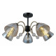 Люстра на штанге Illumico IL0230-5CSQ-29 BK AB