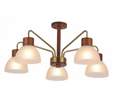 Люстра на штанге Illumico IL0286-5C-79 BR