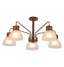 Люстра на штанге Illumico IL0286-5C-79 BR