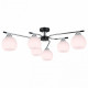 Потолочная люстра Illumico IL0638-6CSQ-24 CR BK LIBRA