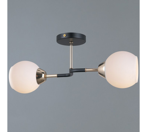 Потолочный светильник Illumico IL0689-2CSQ-24 BK FGD LIBRA