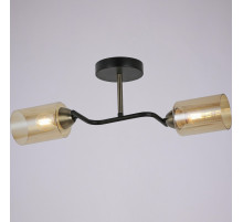 Потолочный светильник Illumico IL8148-2COU-79 BK BR Bice