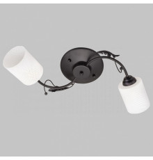 Потолочный светильник IMEX MD.0401-2-S-BK