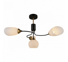 Люстра на штанге IMEX MD.3862-4-S BK+CP