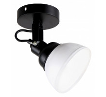 Спот IMEX MD.51575-1-W BK