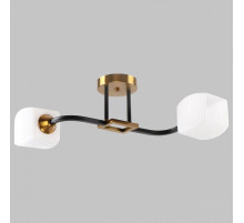 Потолочный светильник IMEX MD.52009-2-S-BK+GAB