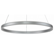 Подвесная люстра Indigo Galass 14001/1P Silver V000018L