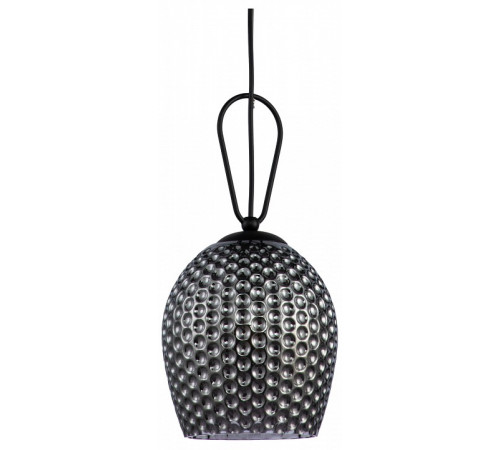 Подвесной светильник Indigo Armonia 11001/1P Black V000085 Подвесной светильник Indigo Armonia 11001/1P Black V000085