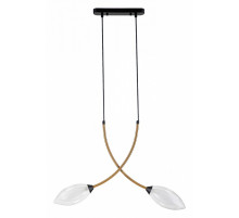 Подвесной светильник Indigo Fiore 13001/2P Black V000140