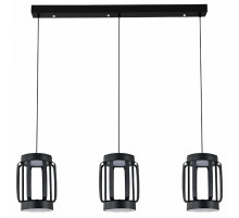 Подвесной светильник Indigo Capsula 14027/6P Black V000157L