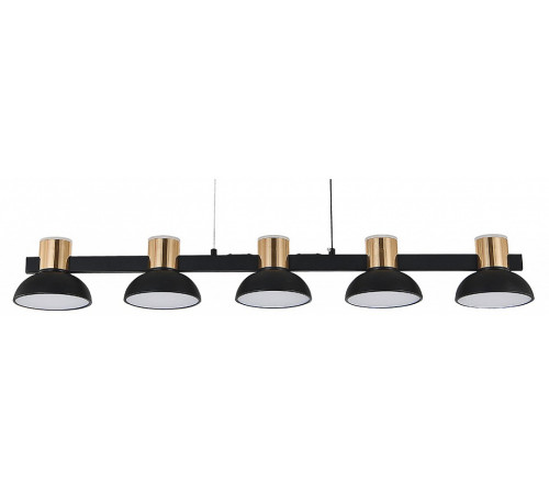 Подвесной светильник Indigo Traforo 11059/5PL Black V000184L Подвесной светильник Indigo Traforo 11059/5PL Black V000184L